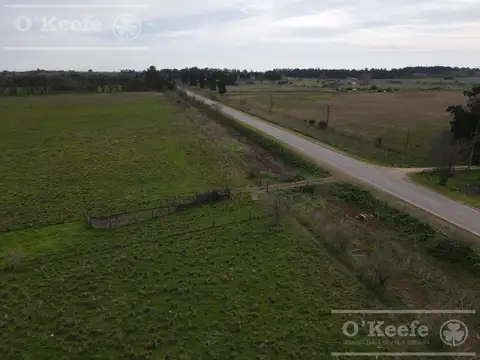 Chacra en venta en Brandsen 42 has -  70% Agricola - Sobre Ruta 210