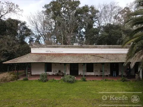 Chacra en venta en Brandsen 42 has -  70% Agricola - Sobre Ruta 210
