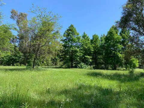 Rio Sauce grande 100, Piso 0