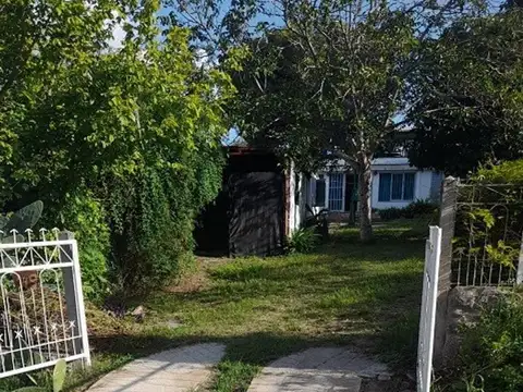 Los Naranjos 100