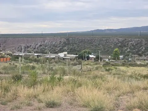 4.500 M2 DE TERRENO EN VENTA EN RUTA 82 CACHEUTA