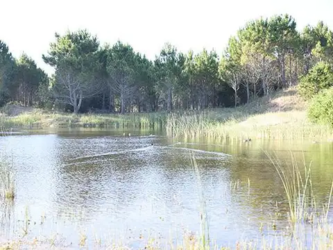 Terreno en Venta en Pinamar, USD 89.000