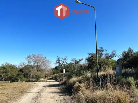 Los Mollares - LOTE 727