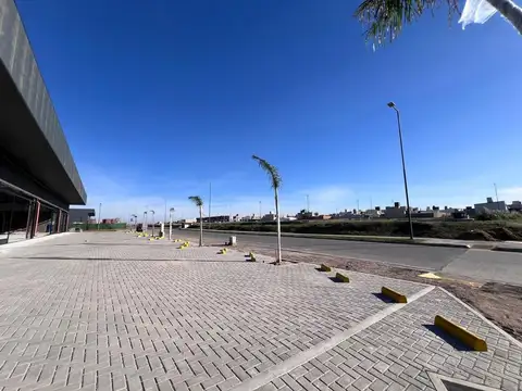 Urbanización Docta 100