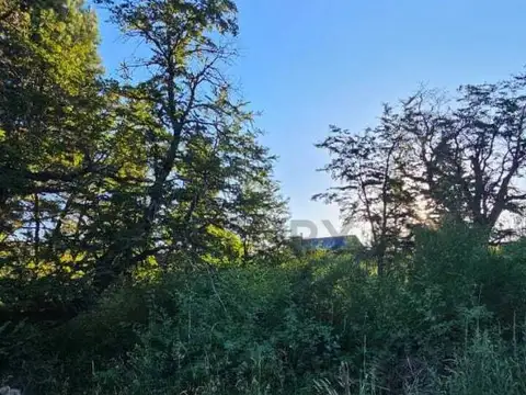 Atahualpa Yupanqui 100
