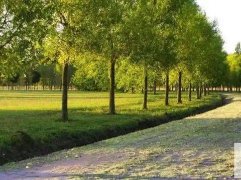 Posada de Los Lagos