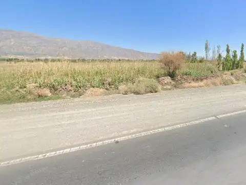 Terreno en Venta de 1634,0 m2