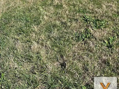 Terreno en Venta en Barrio Chapadmalal, USD 45.000