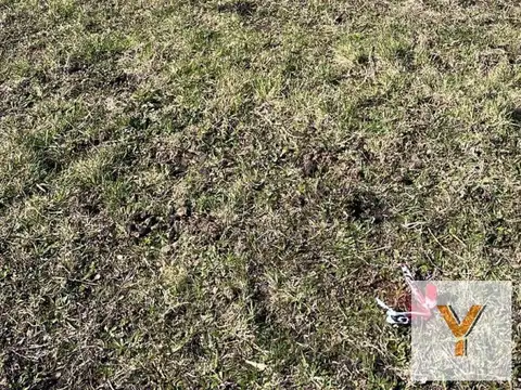 Terreno en Venta de 800,0 m2