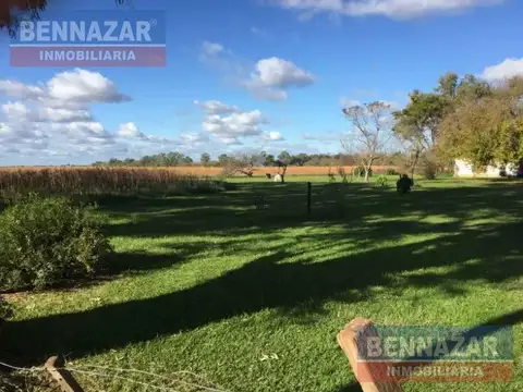 Venta Campo 6 Hectáreas en Santa Lucía con granja avícola