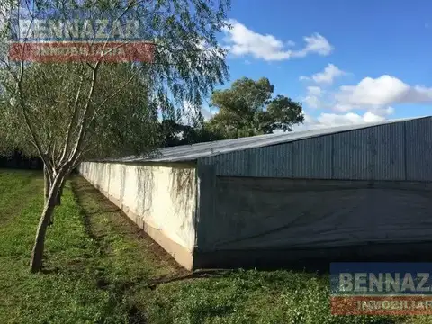 6 Hectareas Camino rural Santa Lucia 1 km del Pueblo