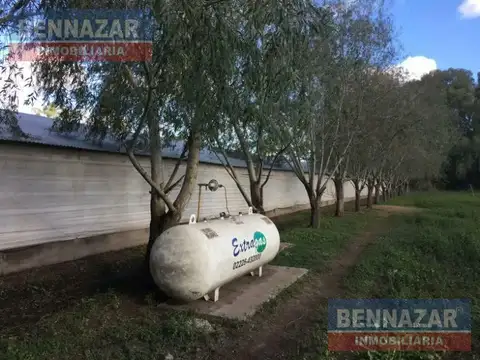 Venta Campo 6 Hectáreas en Santa Lucía con granja avícola
