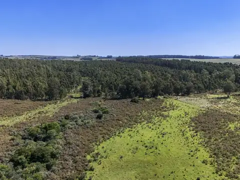 CHACRA DE 22 HECTAREAS CON FRENTE A R-104 MANANTIALES