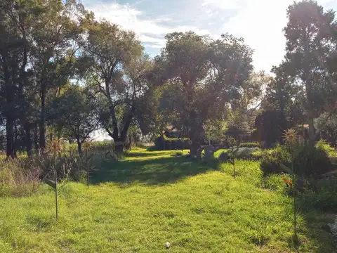 Venta Fracción de Campo - 26 hectáreas - Ibarlucea