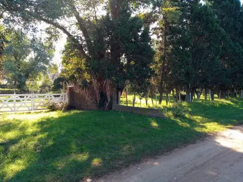 Venta Fracción de Campo - 26 hectáreas - Ibarlucea