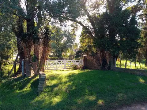 Venta Fracción de Campo - 26 hectáreas - Ibarlucea