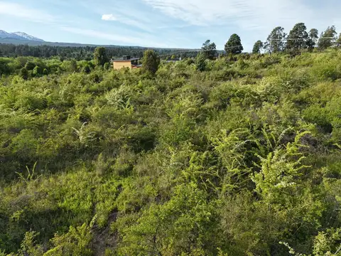 Terreno en Venta de 20053,0 m2