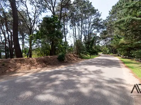 Laguna del