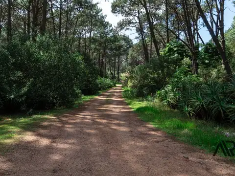 Terreno en venta de 1746m2 ubicado en Laguna Del Sauce