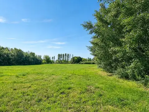 Terreno en Venta de 10000,0 m2