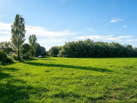 Terreno en Venta de 10000,0 m2