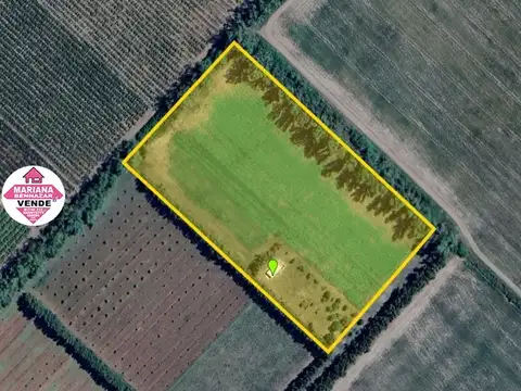 Chacra de 5 Hectáreas en Venta - San Pedro