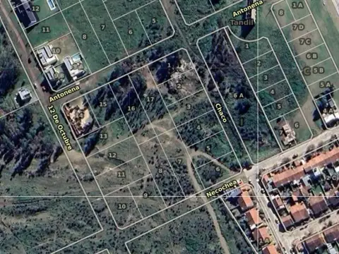 Chaco 100