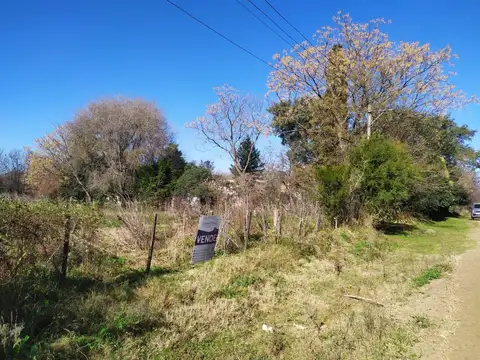 Quinta en Venta en Lobos, USD 65.000