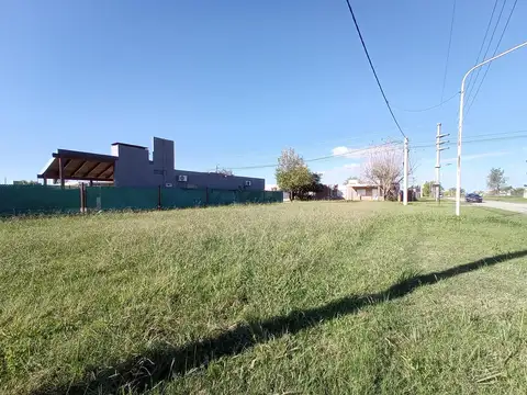 Av. Punta Chacra  al 1800