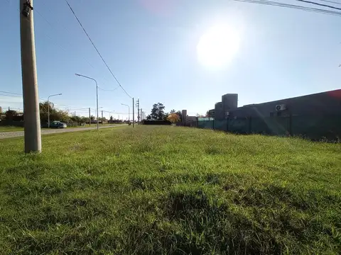 Terreno en Punta Chacra