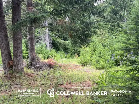 VENTA Lote | Terreno 3000m2 UF 9 Villa La Angostura Acceso al lago