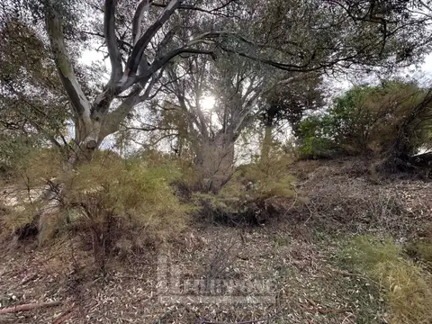 Terreno en Venta de 380,0 m2