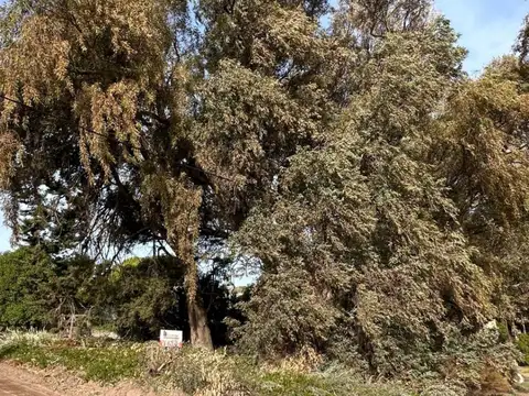 Terreno en Venta 35  mts Fondo