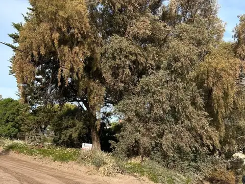 Terreno en Venta 11  mts Frente
