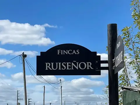 Avenida Juan Pablo II 1500