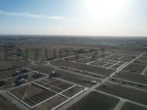 Campos de Manantiales