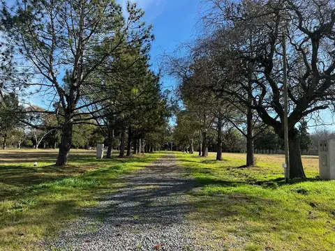 Lote - Terreno en venta en Cañuelas