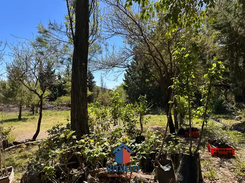 Terreno en Venta de 27750,0 m2