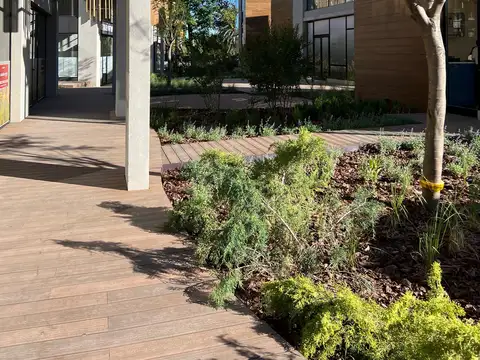 Local en Alquiler en Bella Vista, USD 3.500