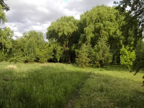 Terreno en Venta de 8300,0 m2