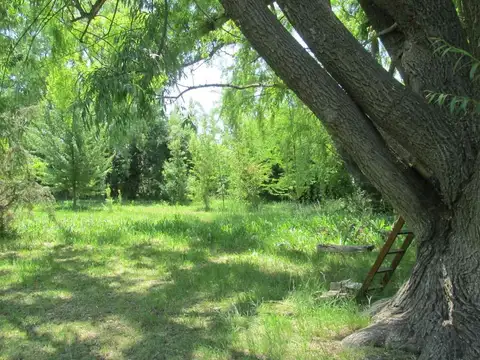 Terreno en Venta en La Primavera, USD 95.000