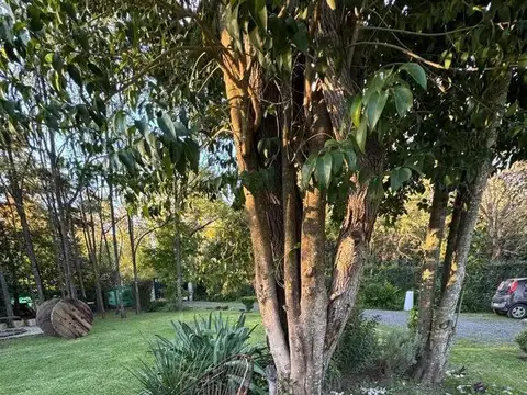 CASA QUINTA EN VALLE VERDE
