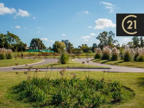 Hermoso Lote a la Laguna