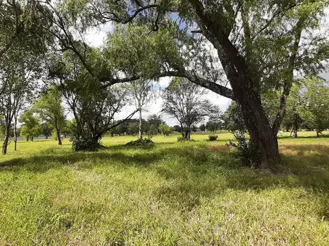 Circunvalación Oeste. Club de Campo La Arbolada