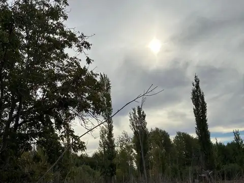 VENDO CHACRA  EN CERVANTES