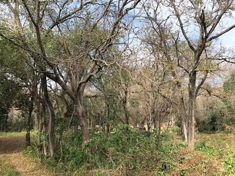 Terreno en Venta de 577,0 m2