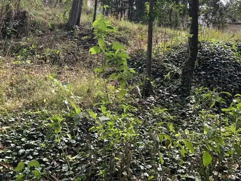 Lote con excelente entorno natural- Tanti con costa al Rio.-