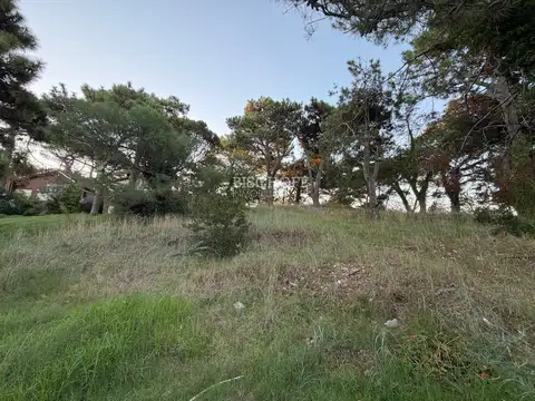 Terreno en Venta en Sur, USD 110.000