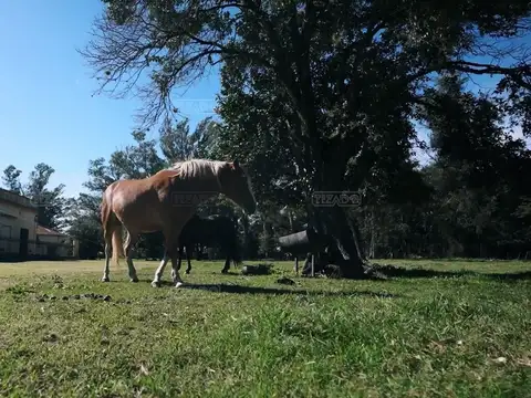 Terreno en Venta de 806,0 m2