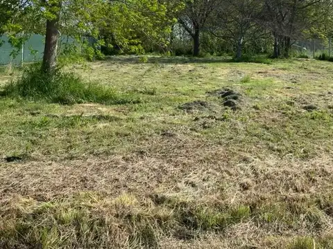 LOTES TERRENOS EN VENTA EN VILLA ELISA